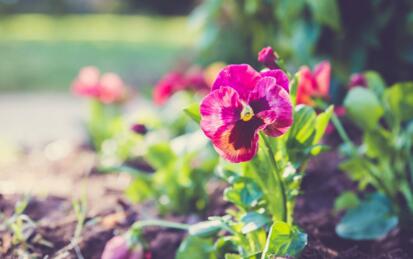 1533721527263472.jpg 20180808112059.jpg