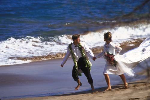 1533782192620642.jpg dfh.jpg