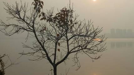 1533785262576793.png t.png