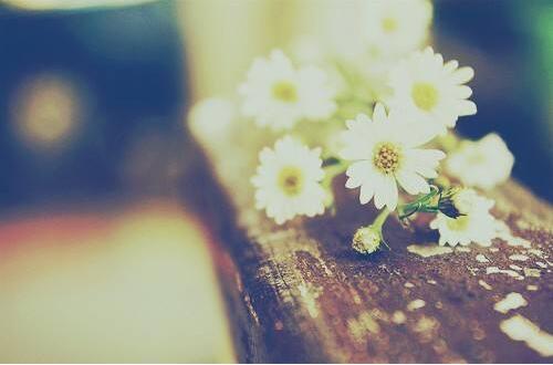 1533786393518302.jpg 20180809113625.jpg