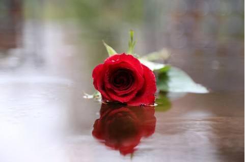 1533786440418479.jpg 20180809113637.jpg