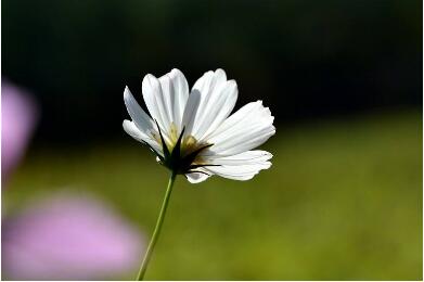 1533807775733550.jpg 20180809173017.jpg