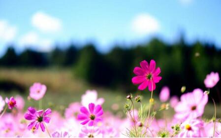 1533872420285524.jpg 20180810113034.jpg