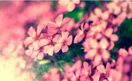 1533893994531953.jpg 20180810113052.jpg