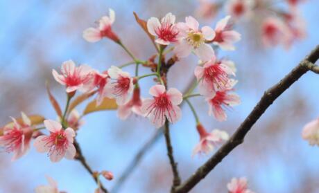 1533894075528283.jpg 20180810113104.jpg