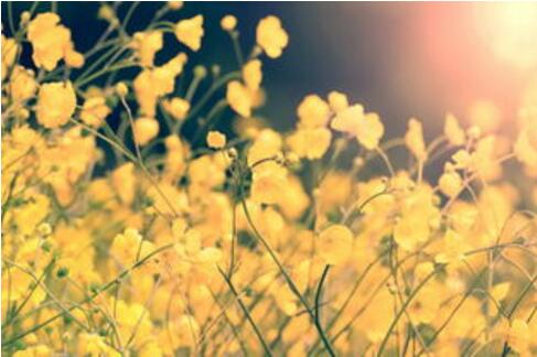 1532595868152349.jpg 20180726170334.jpg