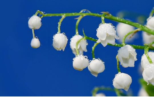 1532684562917409.jpg 20180727174121.jpg