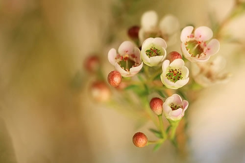 1531971333760489.jpg 1.jpg