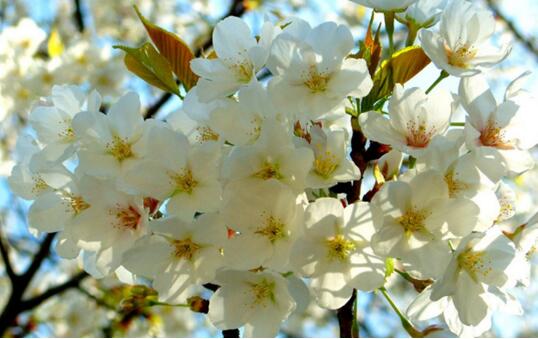 1532079849385350.jpg 20180720174216.jpg