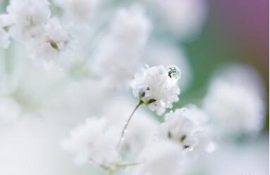 1532321894479574.jpg 20180723124926.jpg