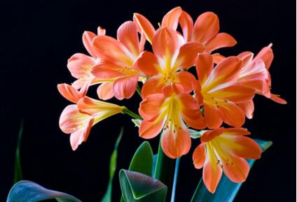 1532338129158514.jpg 20180723172631.jpg