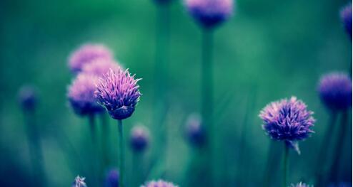 1532403995691889.jpg 20180724114600.jpg