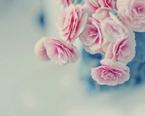 1531733691524718.jpg 20180716173238.jpg