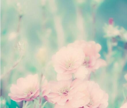 1531711591297070.jpg 20180716112450.jpg