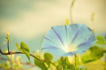 1531819832702445.jpg 20180717172850.jpg