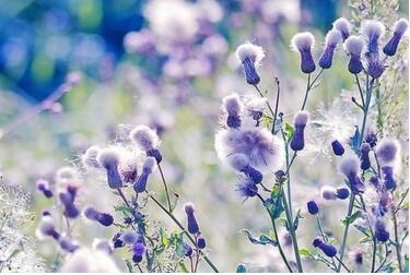 1531111727942293.jpg 20180709124836.jpg