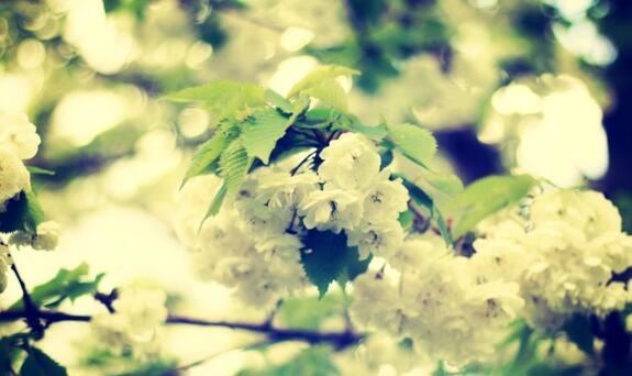 1531300439469523.jpg 20180711171333.jpg