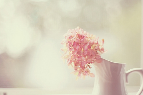 1531192874391125.jpg 1-16062020333b30.jpg