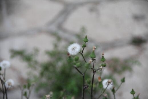 1531474676959414.jpg 20180713173718.jpg