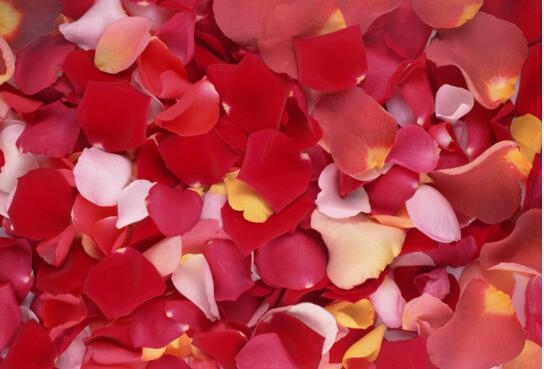 1531127328279897.jpg 20180709170743.jpg