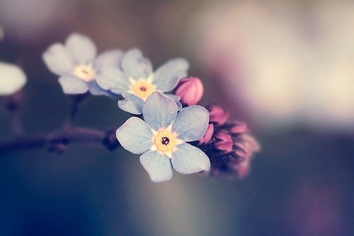 1531192820625773.jpg 0I43K164-1.jpg