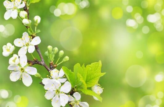 1531474737970926.jpg 20180713173705.jpg