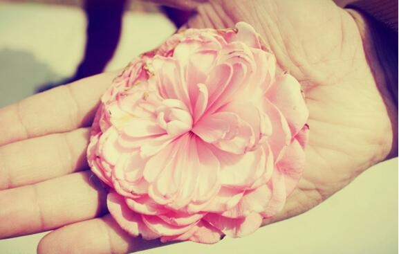 1531111393771064.jpg 20180709124255.jpg