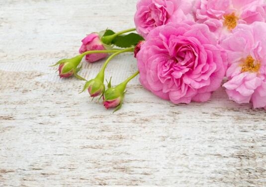 1530242988891737.jpg QQ截图20180629112932.jpg