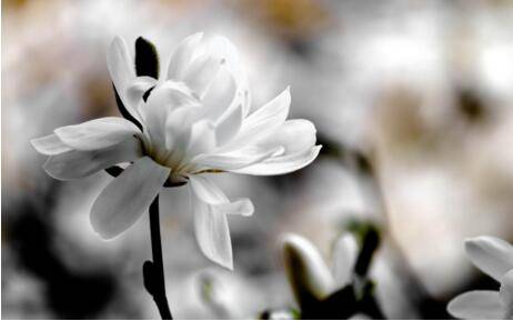 1530675025256330.jpg QQ截图20180704112908.jpg