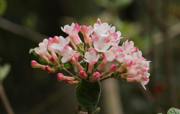 1530264596216337.jpg QQ截图20180629172942.jpg